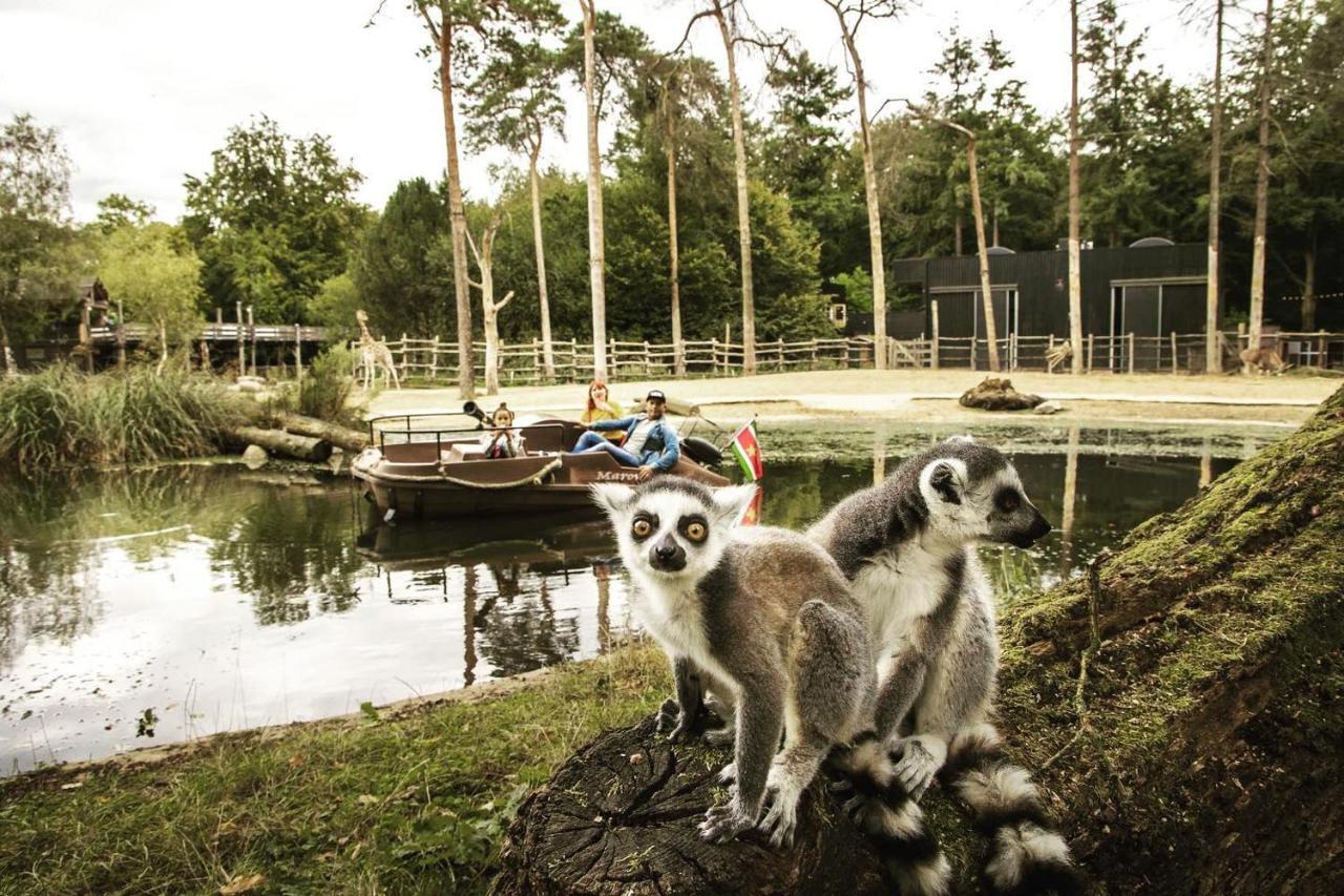 Www Huis Op De Veluwe Nl 넌스피트 외부 사진