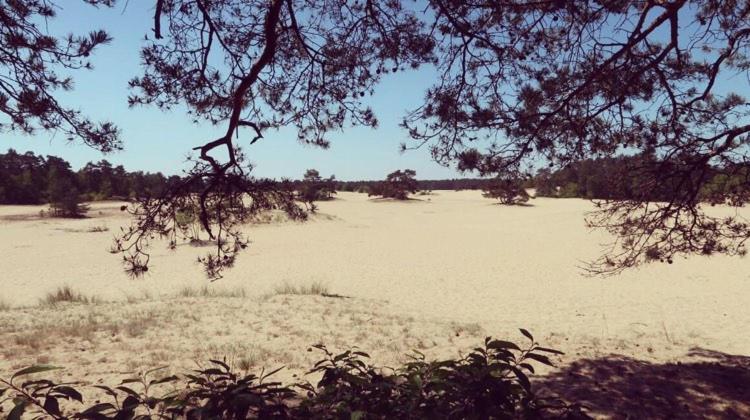 Www Huis Op De Veluwe Nl 넌스피트 외부 사진