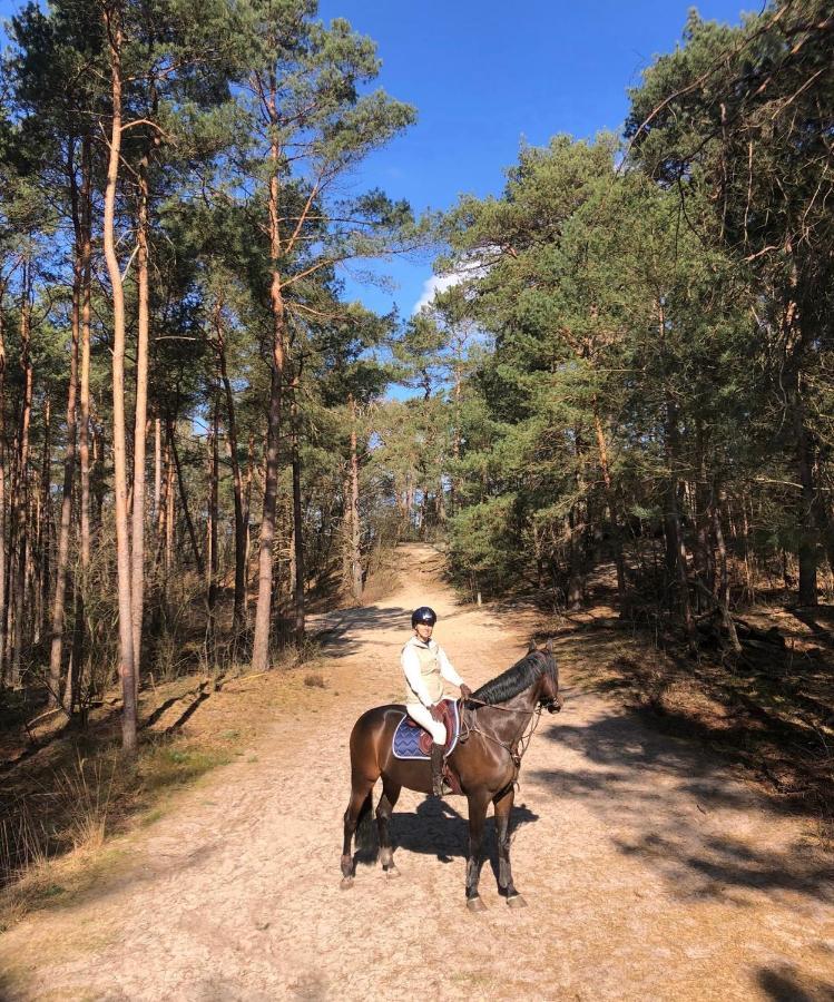 Www Huis Op De Veluwe Nl 넌스피트 외부 사진