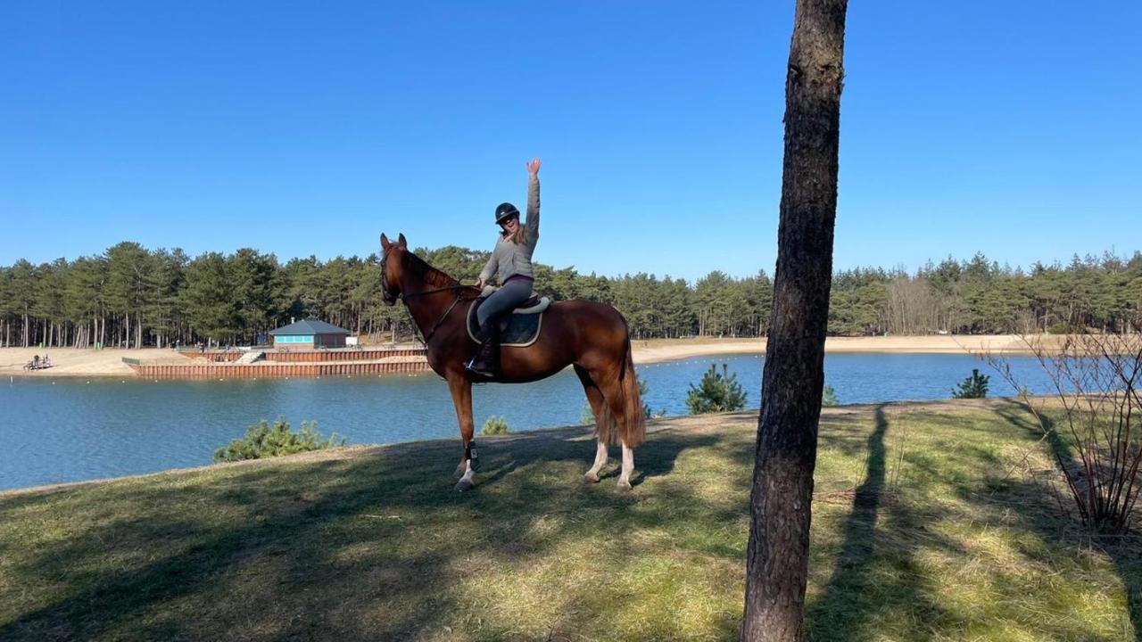 Www Huis Op De Veluwe Nl 넌스피트 외부 사진